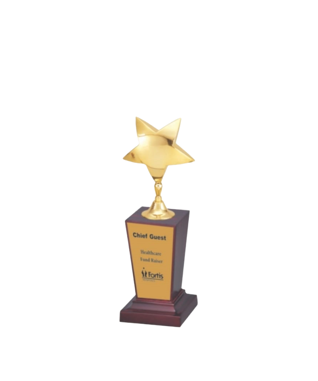 MG-TM22 - Golden Star Trophy (Only Star with Fitting)