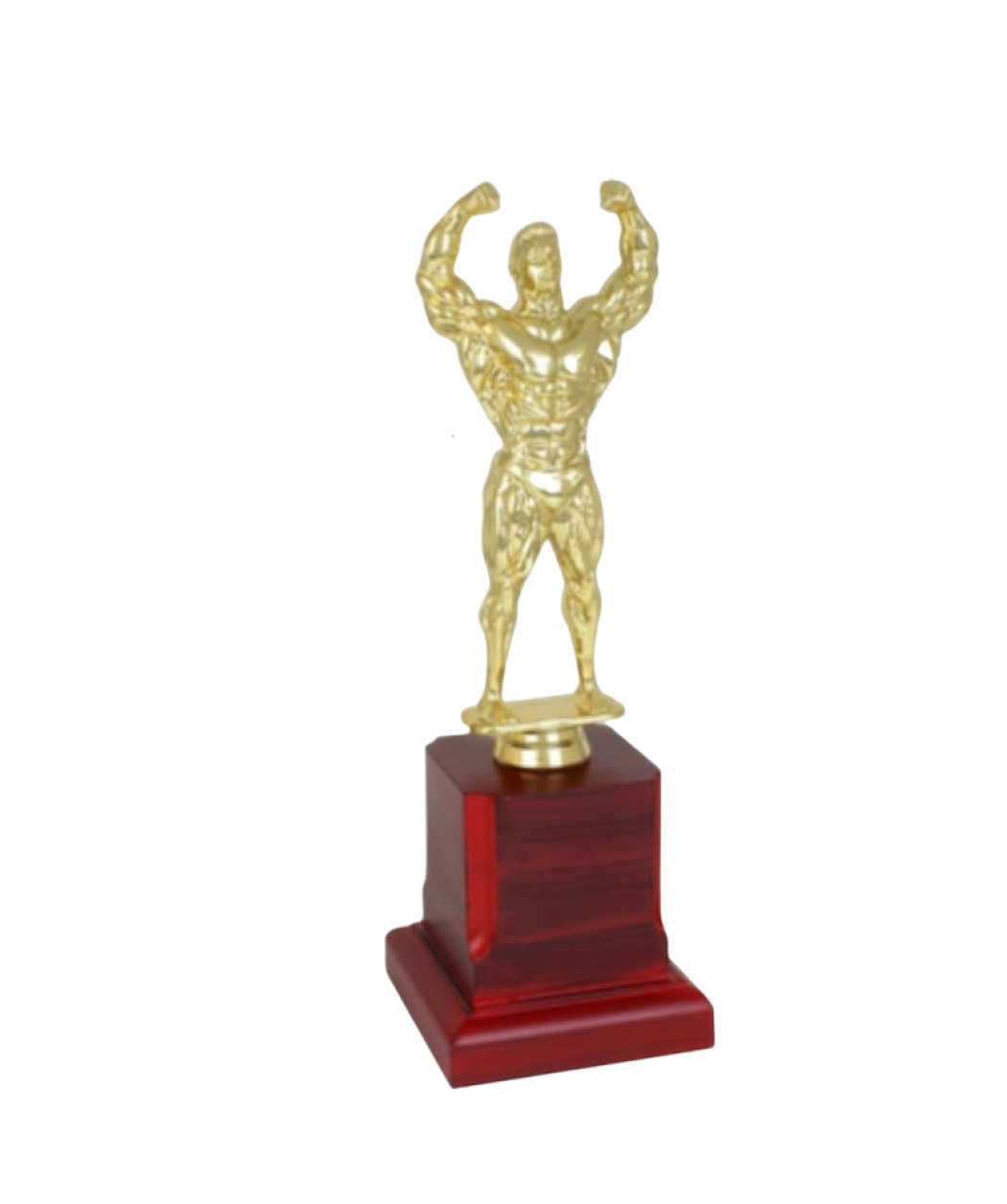 MG-TM01 - Body Builder Trophy ( Plastic Wooden)